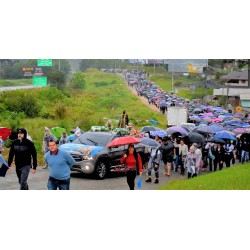 Mais de 5 mil pessoas participaram da romaria em louvor a Nossa Senhora Aparecida, no dia 12/10, em Campo Largo